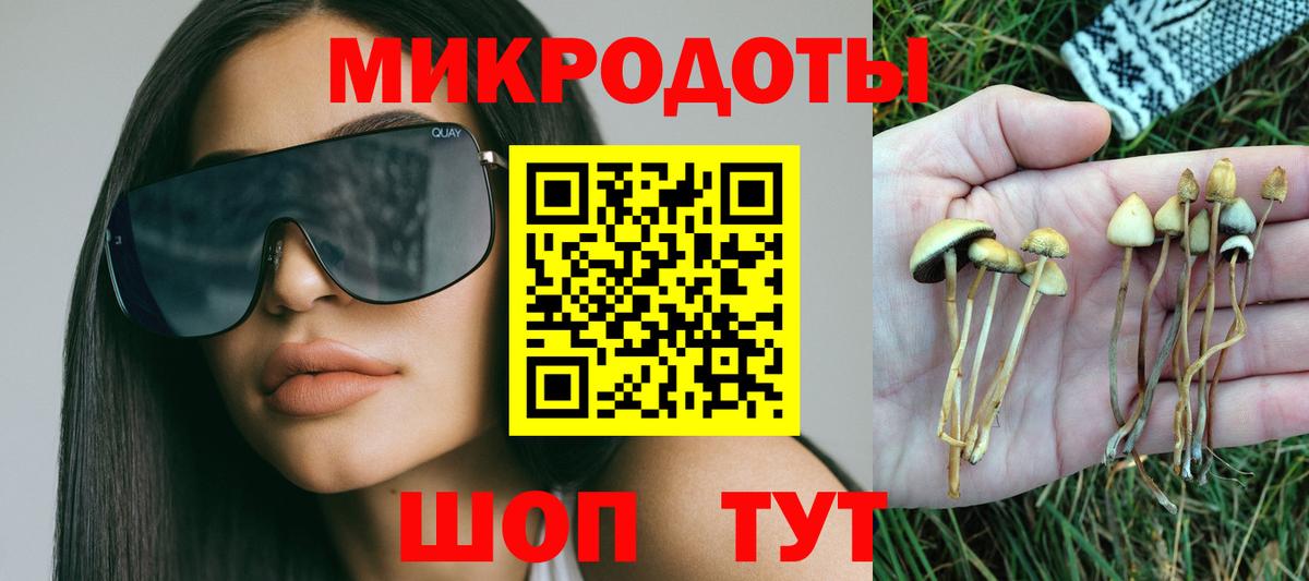 Псилоцибиновые грибы мухоморы Вичуга